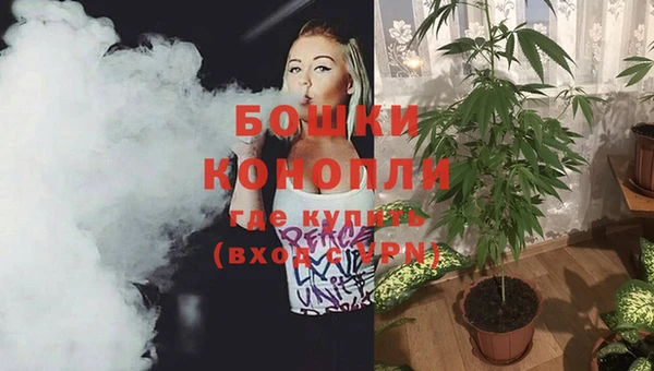 шишки Покровск